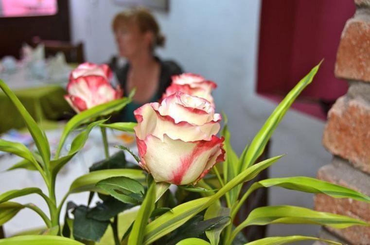 Casa de las Rosas Cuenca Habitación foto